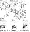 Asia Map Exam for teachers